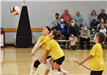 Youth Volleyball