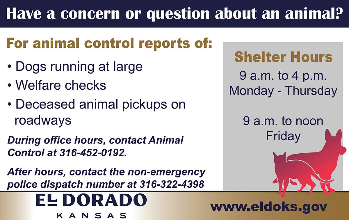 Animal Control Reports and hours