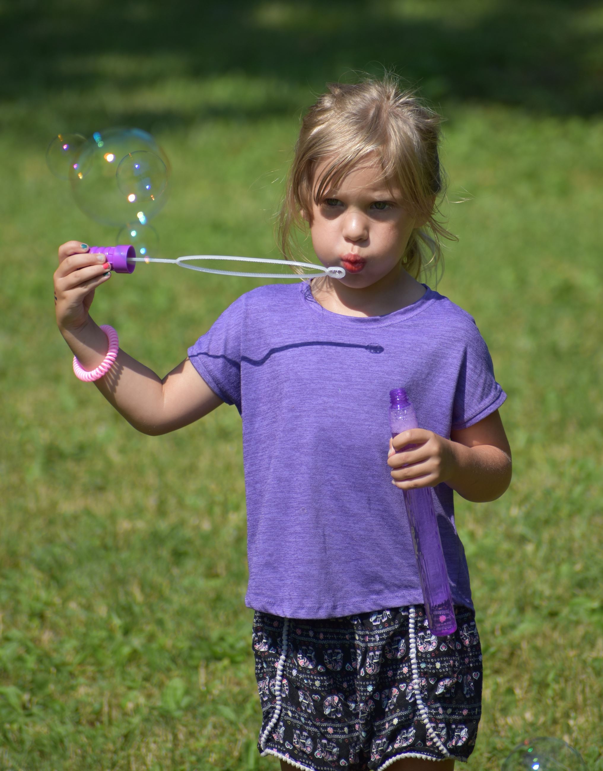 Independence Day Activities