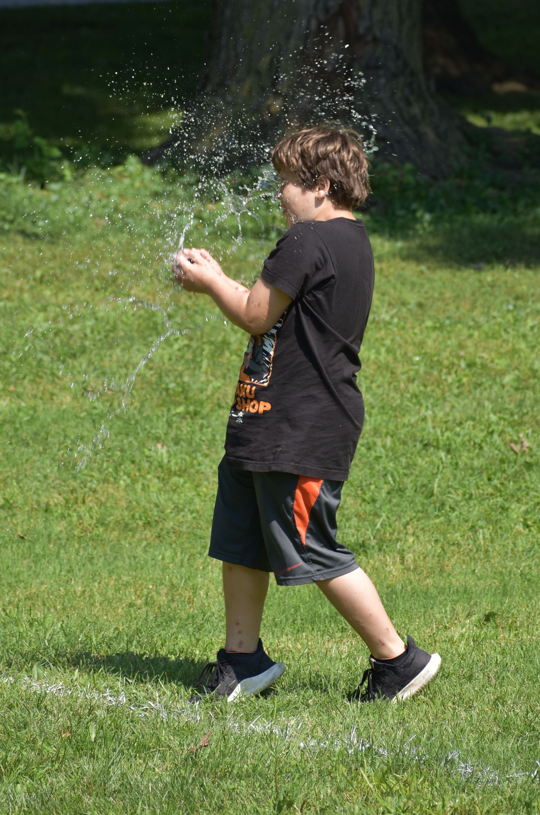 Independence Day Activities